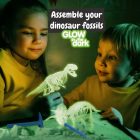 2 in 1 Fossil Excavation Kit I. Oktatási játék gyerekeknek