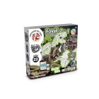 2 in 1 Fossil Excavation Kit I. Oktatási játék gyerekeknek
